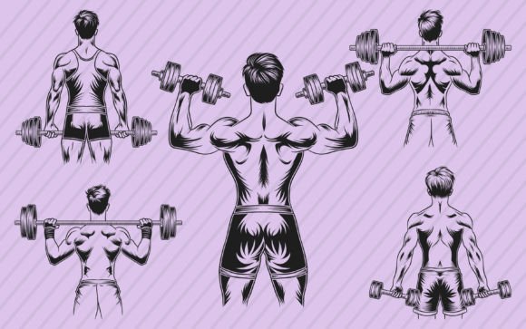 Download Gym Fitness Vector Illustration Graphics - Illustration Collection